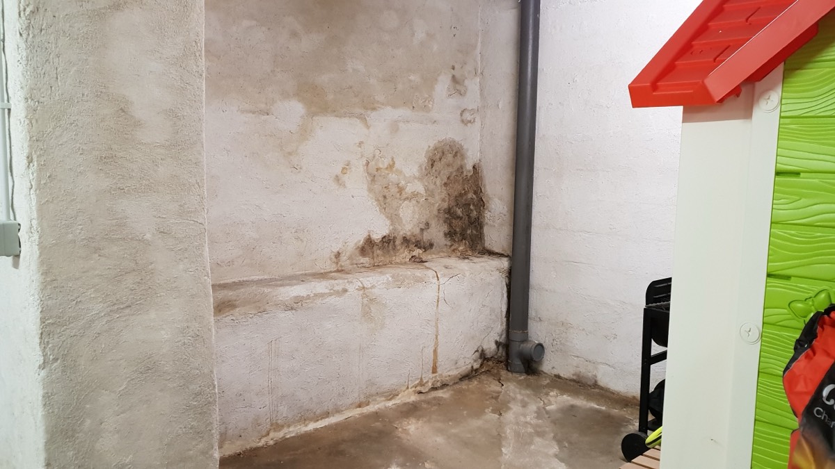 Infiltrations d'eau - Expertise humidité à Épinal